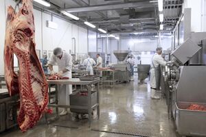 От обвалки до котлеты: полный цикл оснащения мясоперерабатывающего цеха